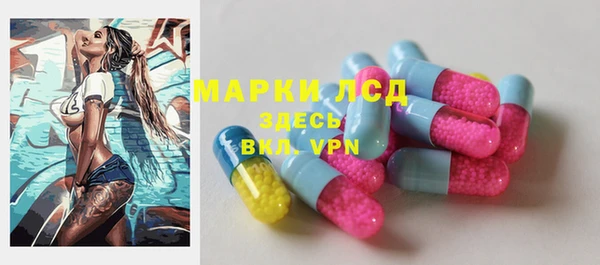 прущие грибы Аркадак