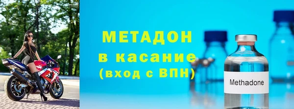 прущие грибы Аркадак