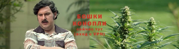 бошки Арсеньев