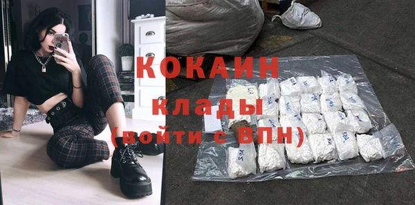 прущие грибы Аркадак