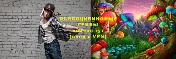прущие грибы Аркадак