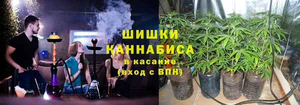 прущие грибы Аркадак