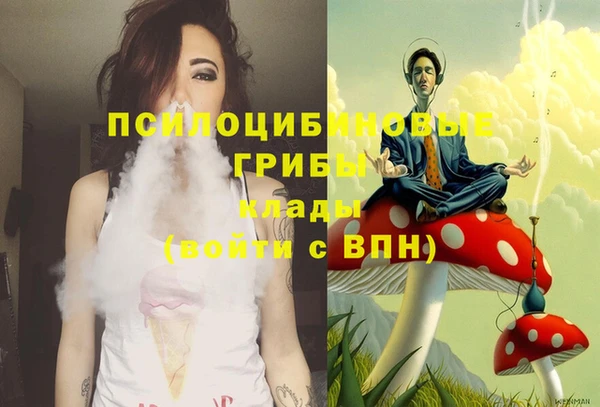 бошки Арсеньев